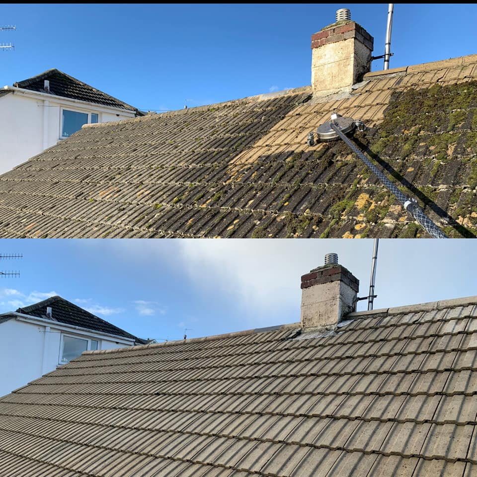 Moss Cleaning Service
