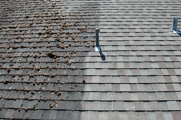 Cedar Shake Cleaning