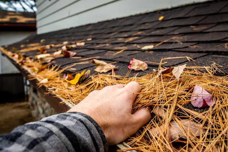 Roof Cleaning 3