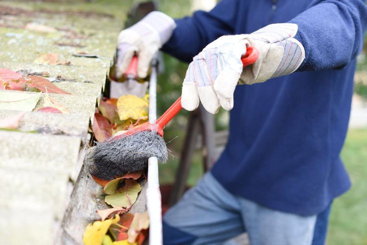 Rain Gutter Cleaning Services