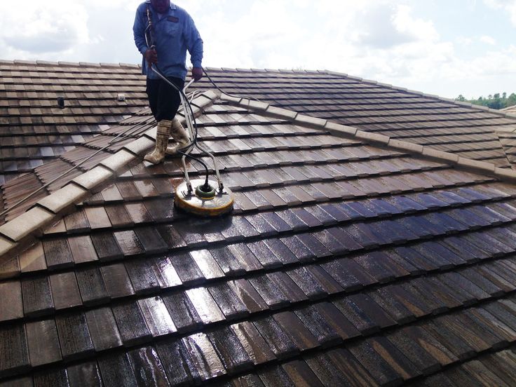 Roof Cleaning 2
