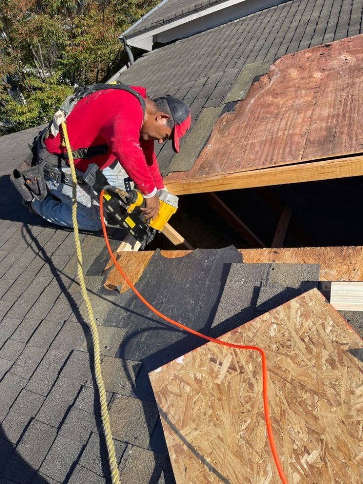 Roof Shingle Repair